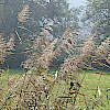 dscn3410.jpg