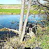 oelweiher-023.jpg